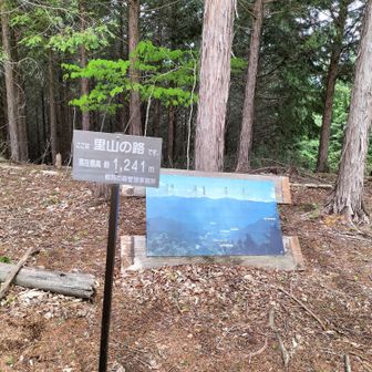 そして、二つ目の山。
栂ノ尾と言う山みたいですが、探したけど、山の標識が無くて。