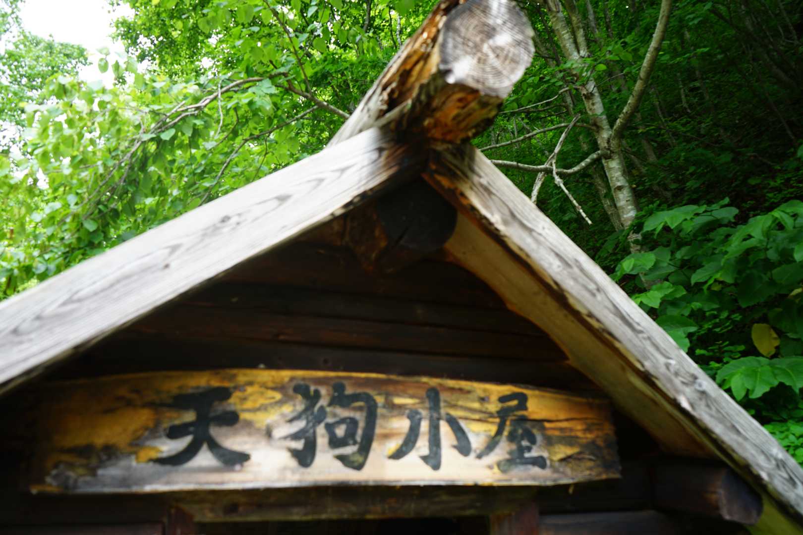 熊ノ沢登山口-定山渓天狗岳 往復コースの写真