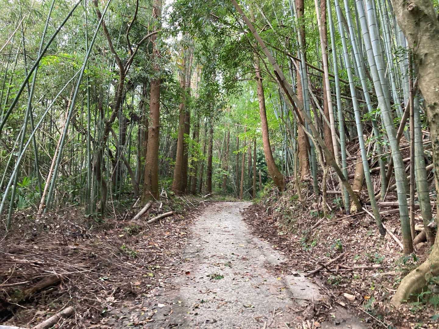 十坊山 往復 | 山頂で巨岩と糸島ブルーを堪能し、下山後はまむしの湯への写真