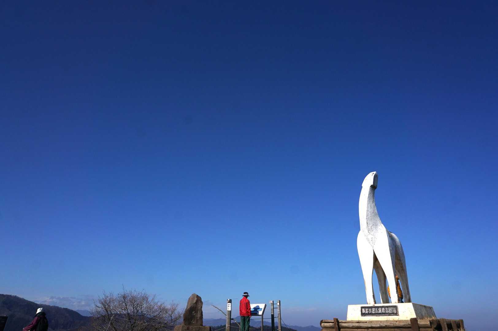 こんにちは～🌞お馬さん！
