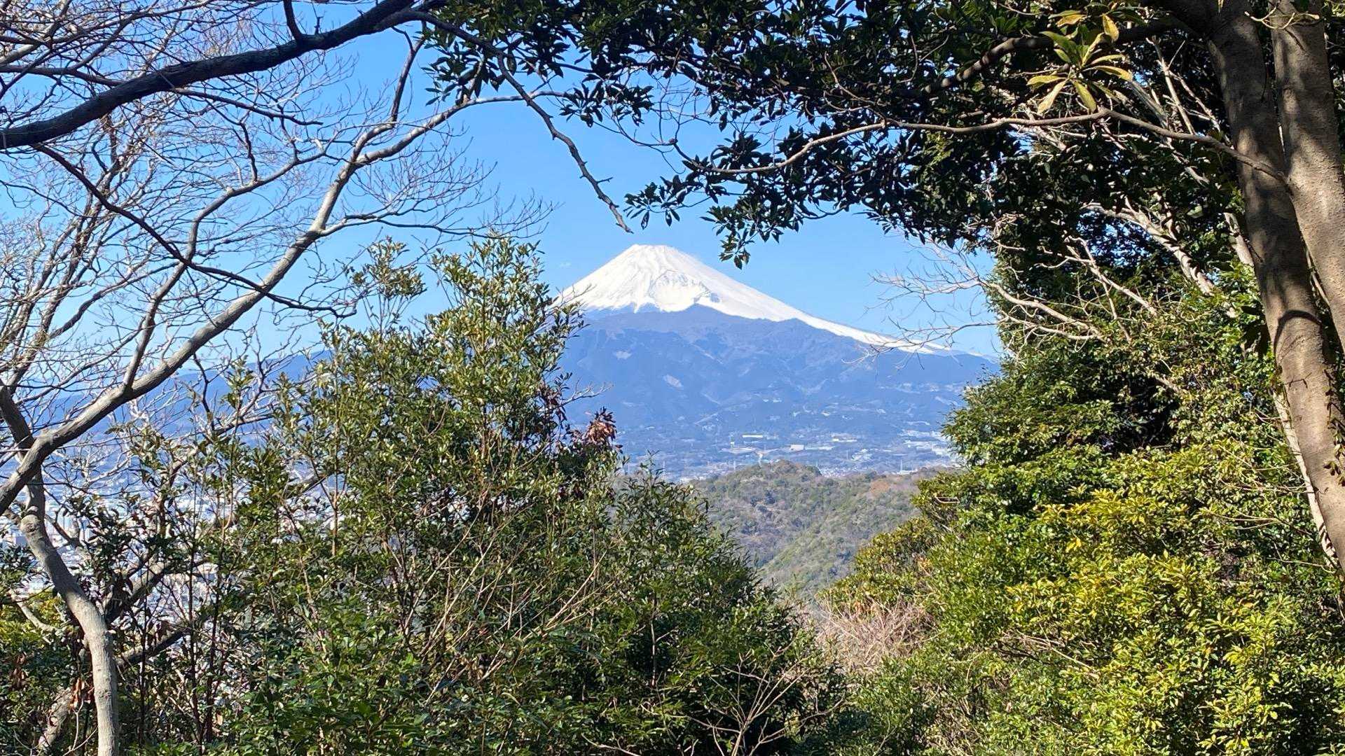 沼商前バス停-徳倉山-志下坂峠-志下山-馬込峠-志下峠 縦走コースの写真