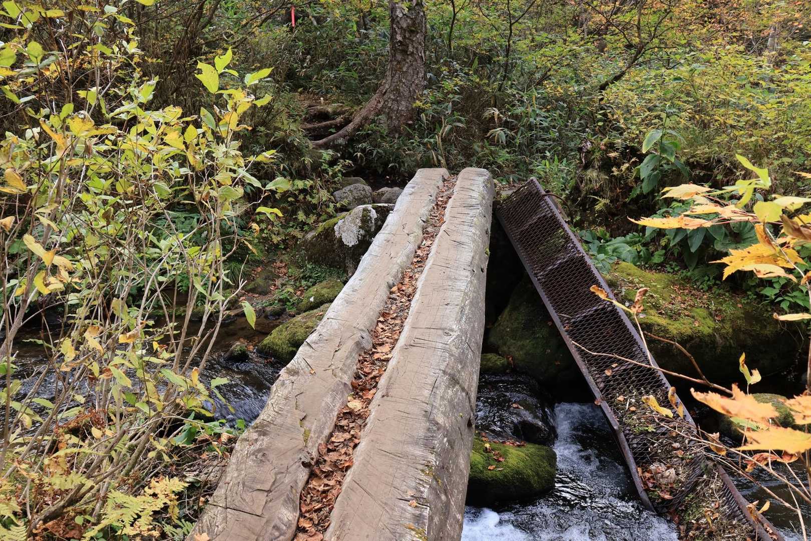 楽しすぎる山道でした