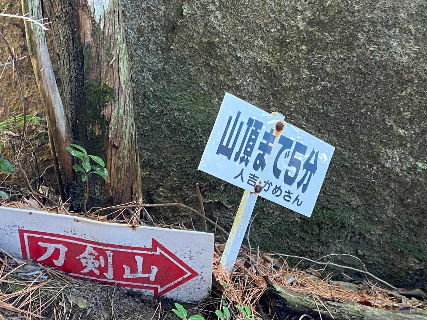 ここにも人吉かめ🐢さん