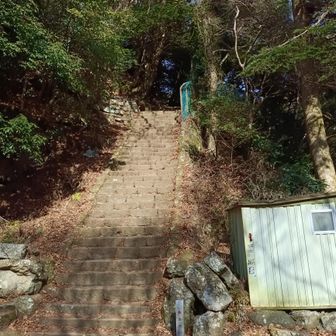 激下り階段を下から見上げると、大したことナさそうに見えます