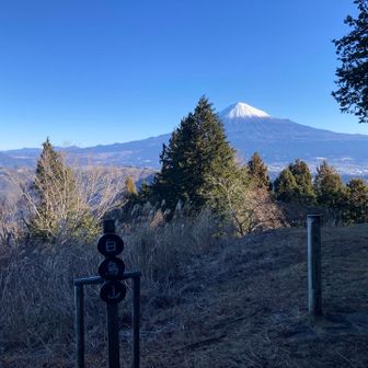山頂からの富士山