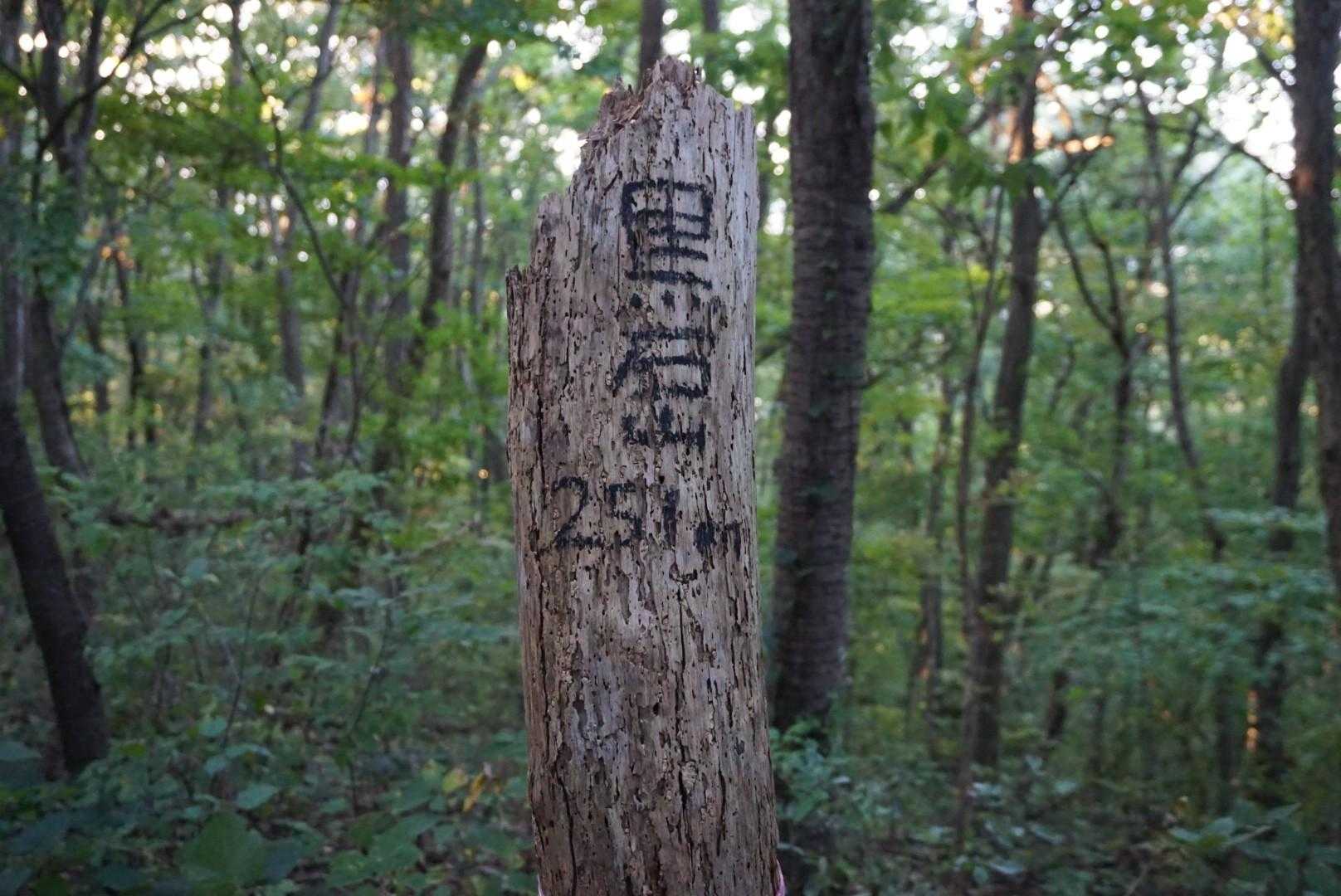 大森山-黒石山 往復コースの写真