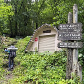 天人峡スタート

🅿️広いスペース
足湯あり
🚻トイレナシ事前に
（東川道の駅、コンビニ）

お久しぶりのY先生との山行です
先月まで
毎週ずっと登山道整備&笹刈りでした
お疲れ様です🙏
8月はお休み月
忠別岳の登山計画を立ててくれました
ありがとうございます

