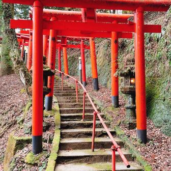 速度があがりません😂