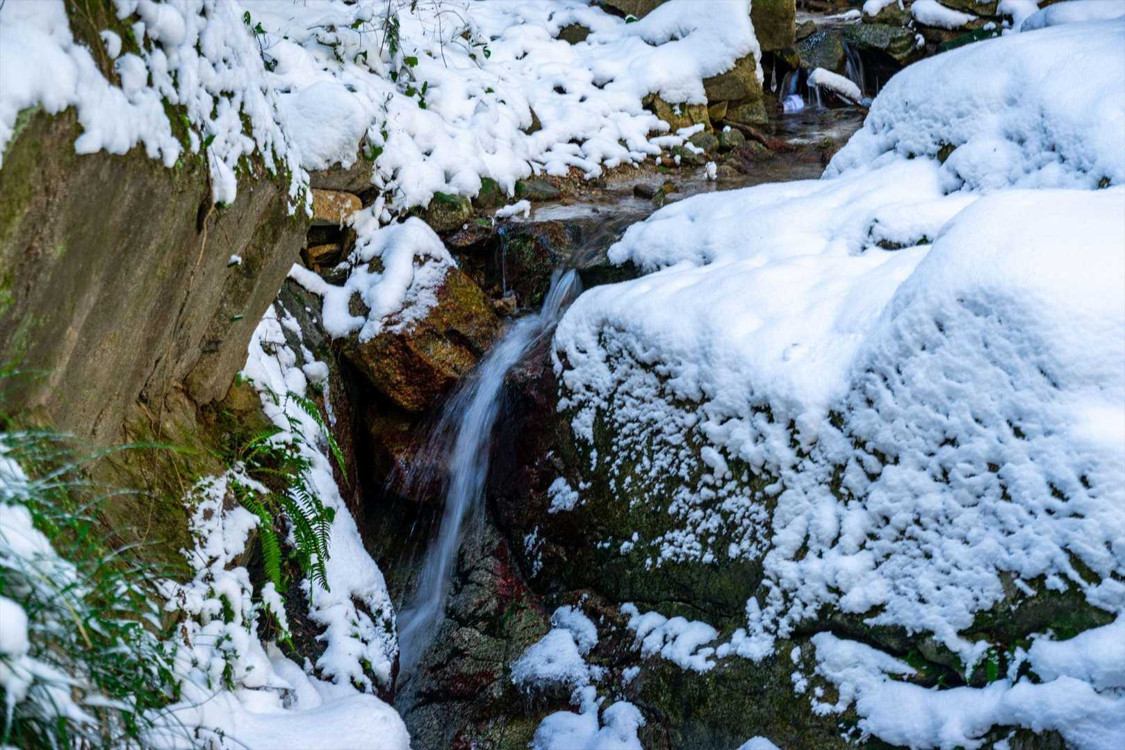 三大寺登山口-飯道山 往復コースの写真