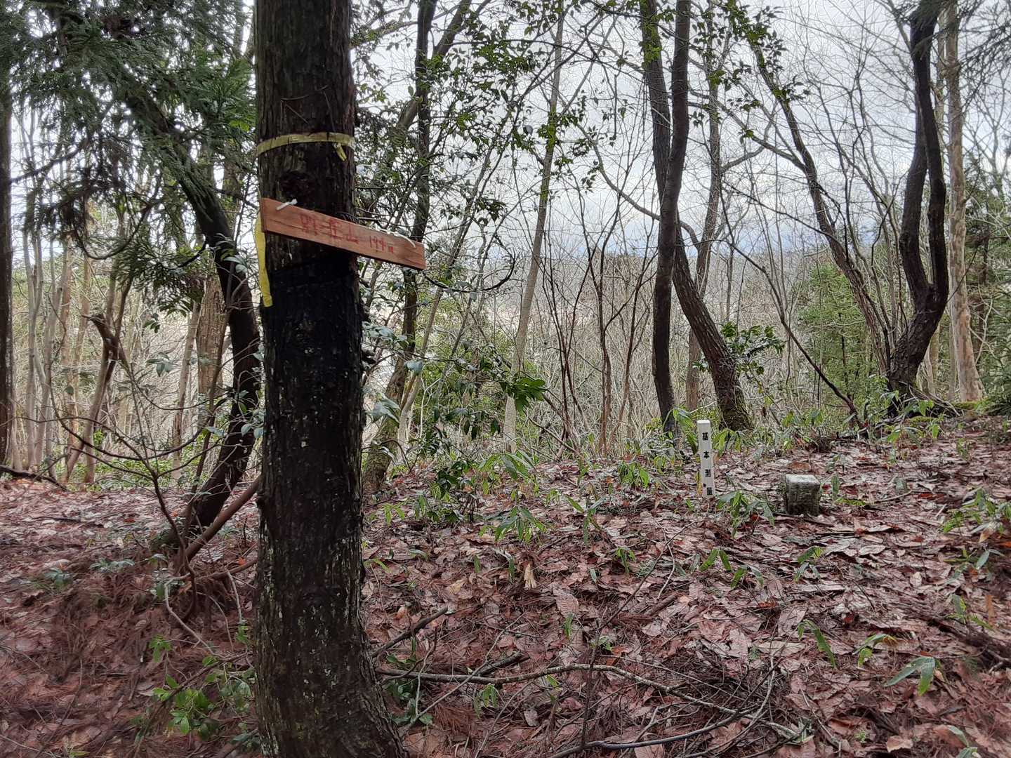 山頂を後にして下山にかかります。