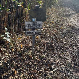 九合目。この標識ありがたい。何となく頑張れる。