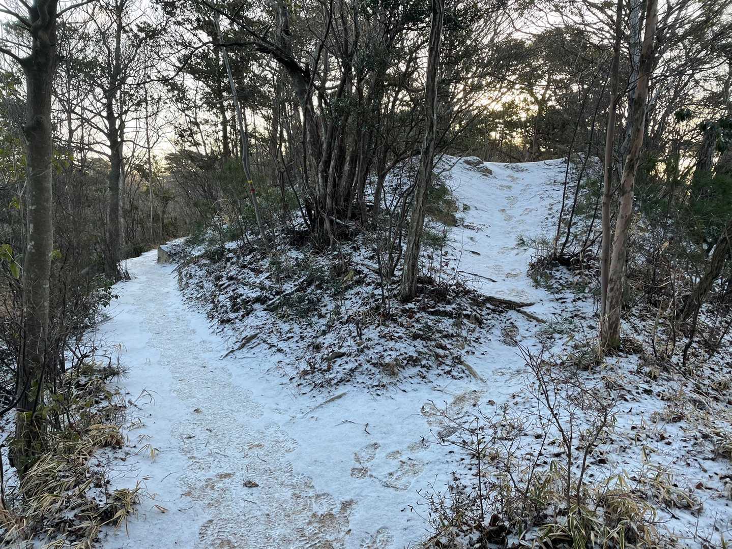 帰りの登山道です。