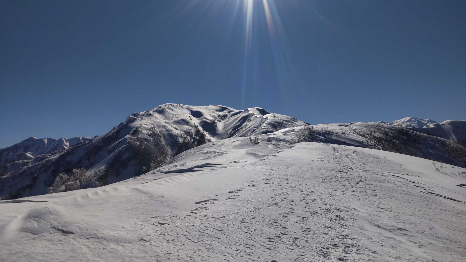 鍋倉山-大地山-初雪山 往復コースの写真