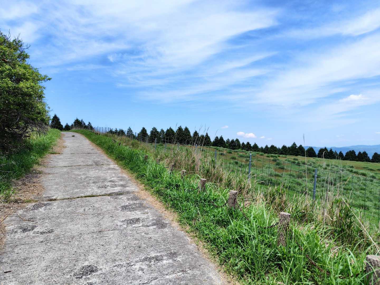 牧場の中のコンクリ道を進んで行くと