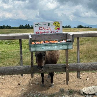 にんじんもあげれます🥕