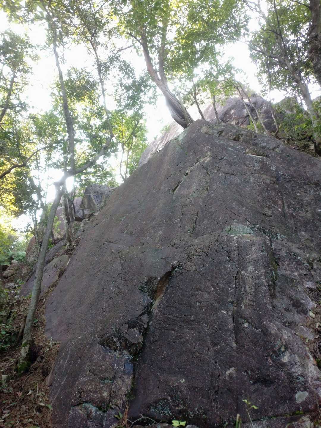 すると、直ぐに巨石群が現れますが、岩登りではなく、岩と岩の隙間を通って行きます。