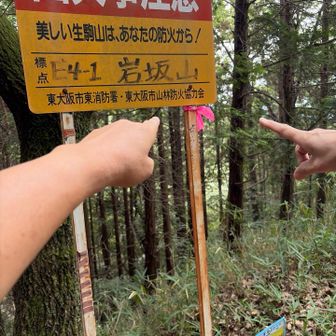 山頂、、、なのか？？？？