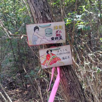 子供の頃に婆ちゃん家の近所にあったぞ「タイガーバーム」っていうやつかの🤔