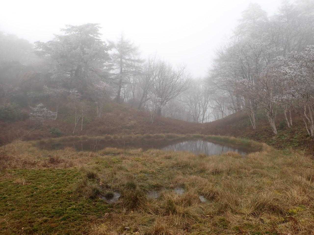 池の周りも霧氷の木が綺麗だけど周りがガスっているから写真では分かりにくいですね😂　
こんな天気なのでここで帰ります。