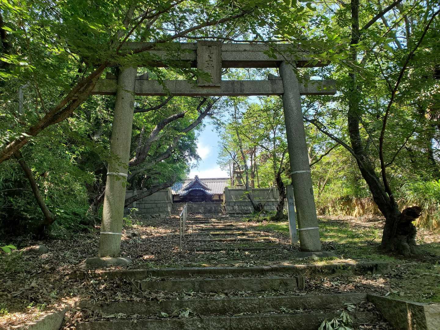 尾上神社まで下ってきました⛩️
直ぐですけど…😅