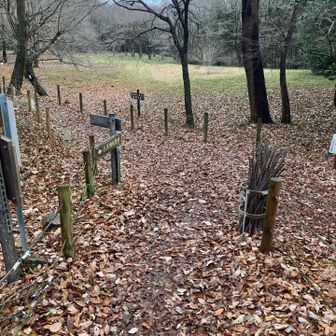 カタクリの入り口を通過。
あとは平地歩きで🅿️へ。👉