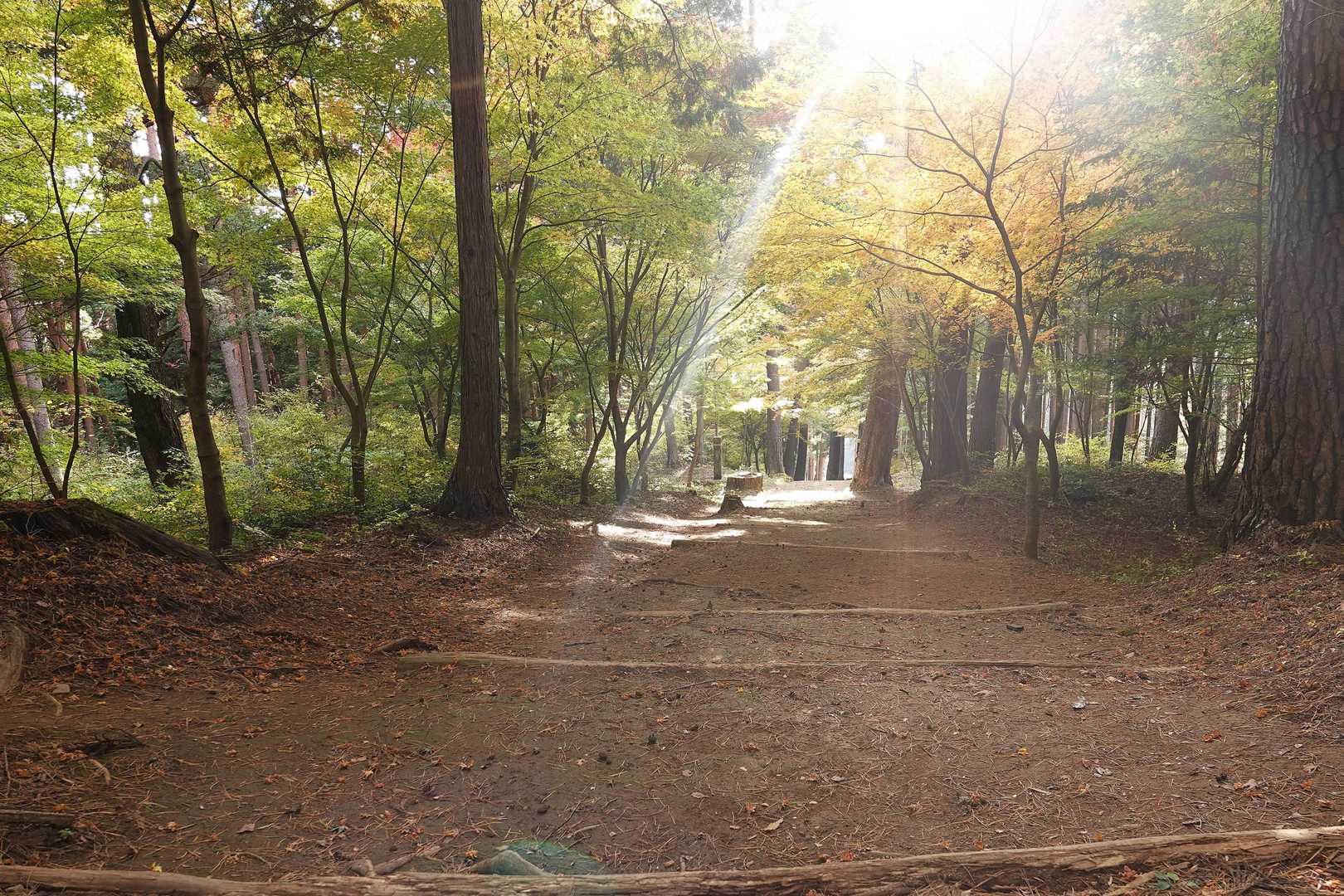 明るいうちに下山出来ました
