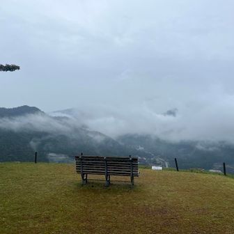 雨だから座れない
残念