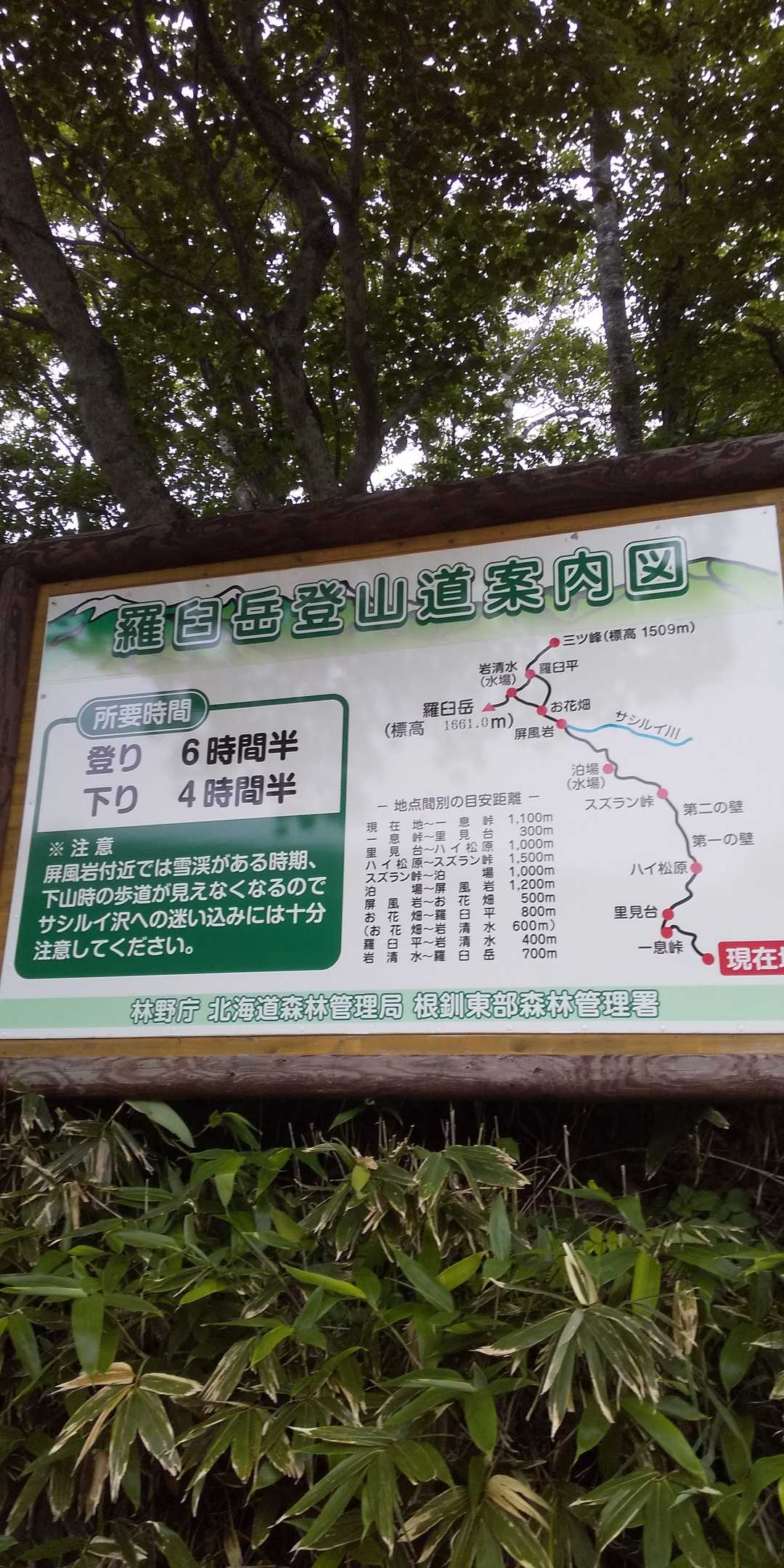 登山案内板
登り6時間30分…かかりすぎじゃないの？
あなどってました😱