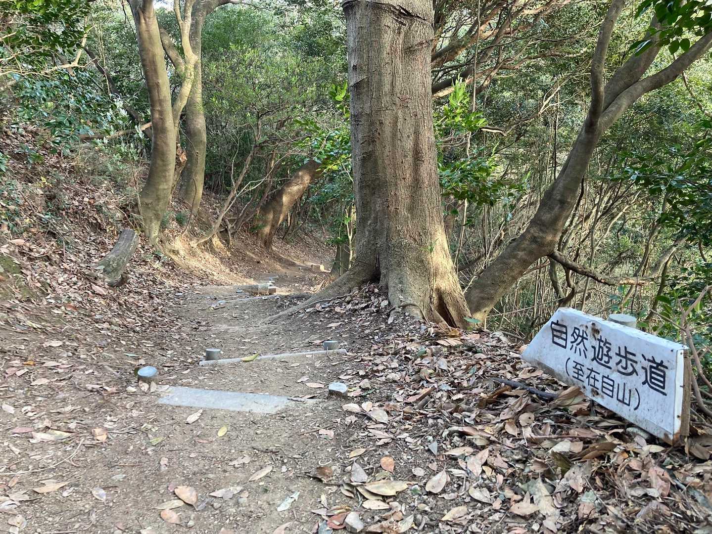 在自山に行ってみます！
