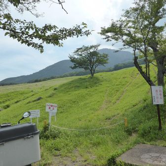 さくらの園から