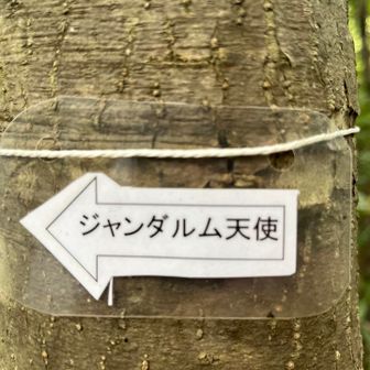 色んな所に、掲示が有って分かりやすくなってますね