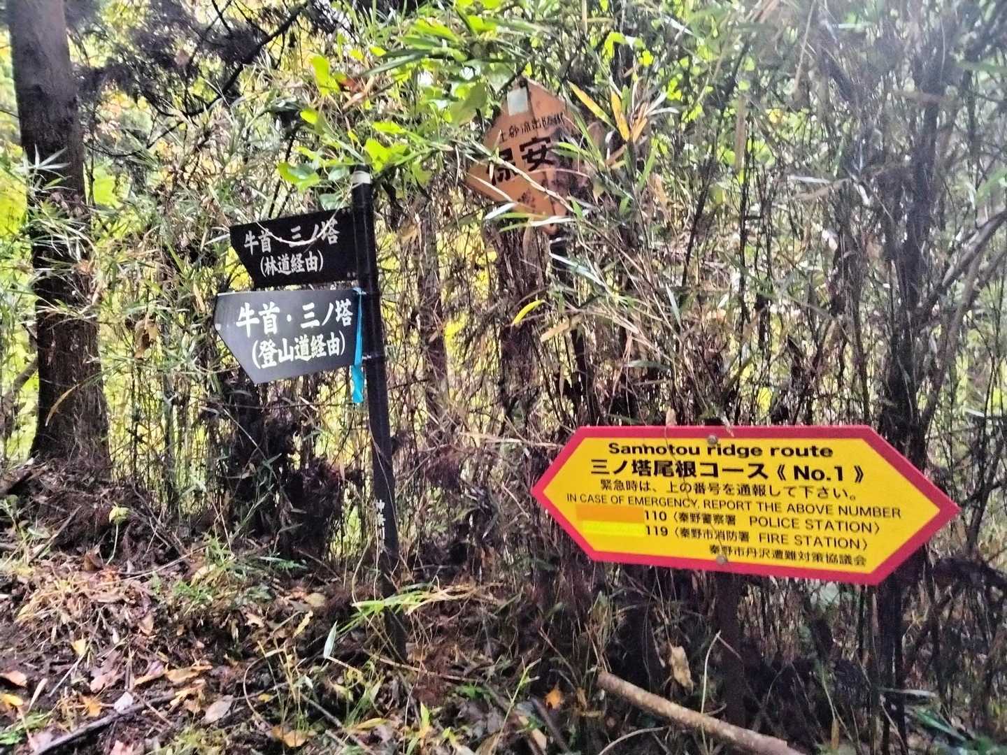 ここから三ノ塔尾根コースのスタート🦵