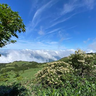 北寄りの風が心地よい（汗冷えしそう
