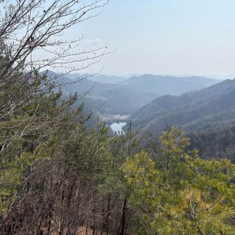 鎖場岩場を乗り越えて、もう少しで仙人ヶ岳・・・！というところで、あそこの松田川ダムまで降ります。
ええ、ここから降りるんです・・・