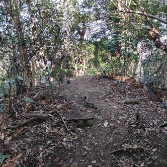 ここが頂上と言われても分からない大沢山の頂上🤣

山の神様、笑ってすいません😅

無事戻って来れる様にお願いして、ここからバリルート出発です。