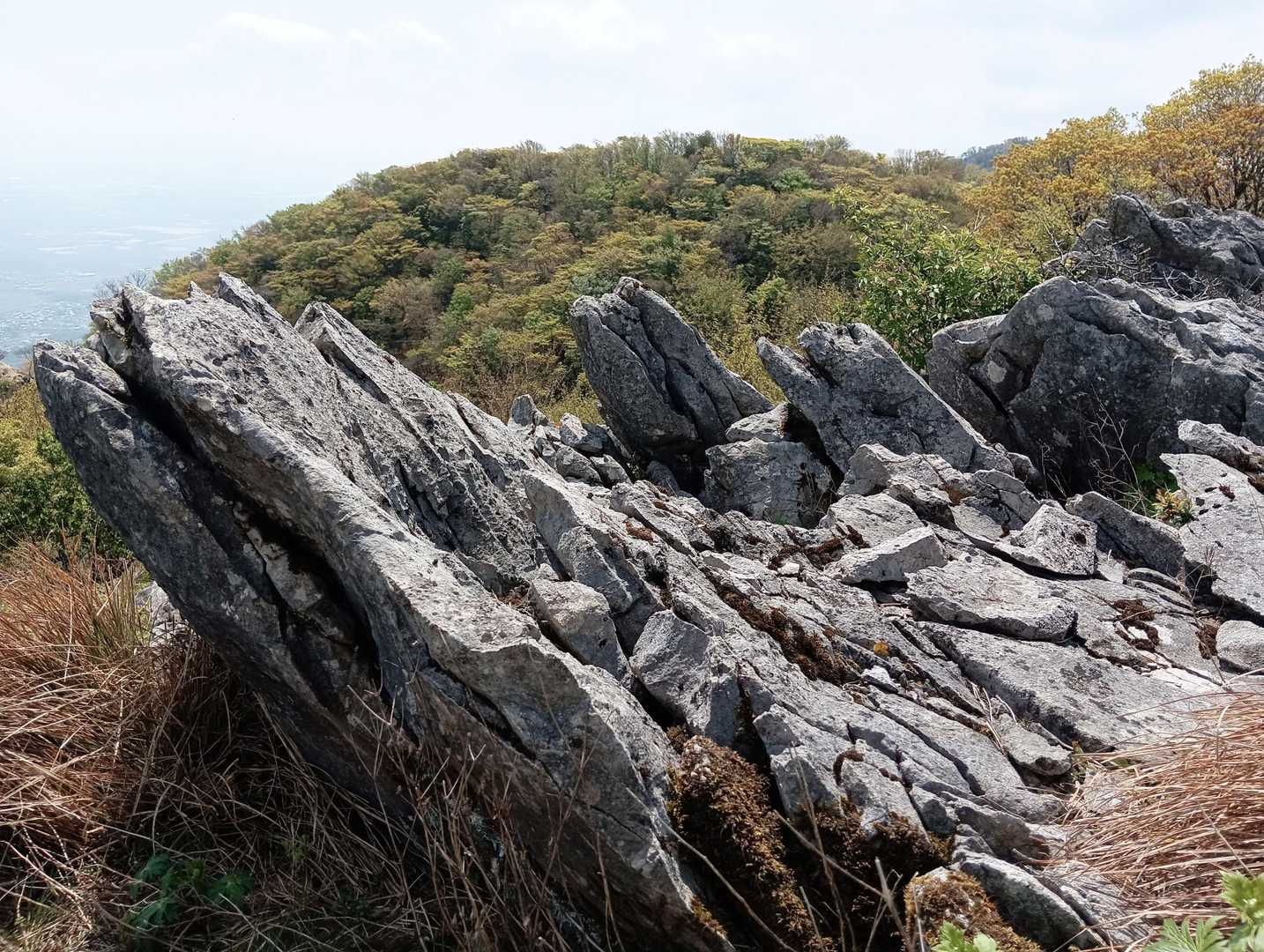 途中のイルカ🐬岩