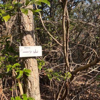 一ツ山
70m
スタートから5分😳
あっという間に着いちゃいます