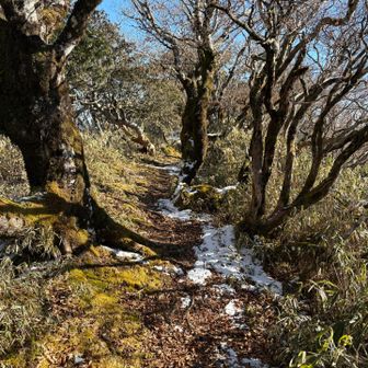 帰り日が当たる所は雪は少ないです。