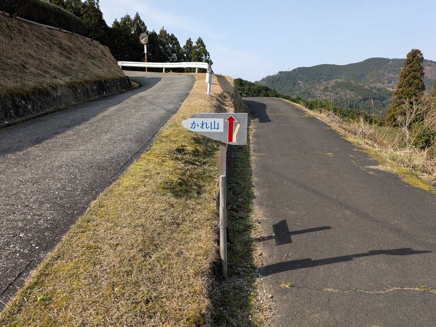 🪧ありがとうございます