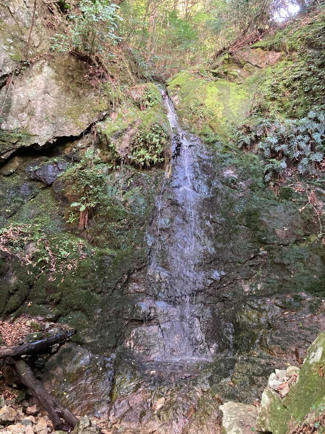 大根地山登山口-大根地神社-大根地山 往復コースの写真