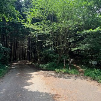 帰りは右に入らず
