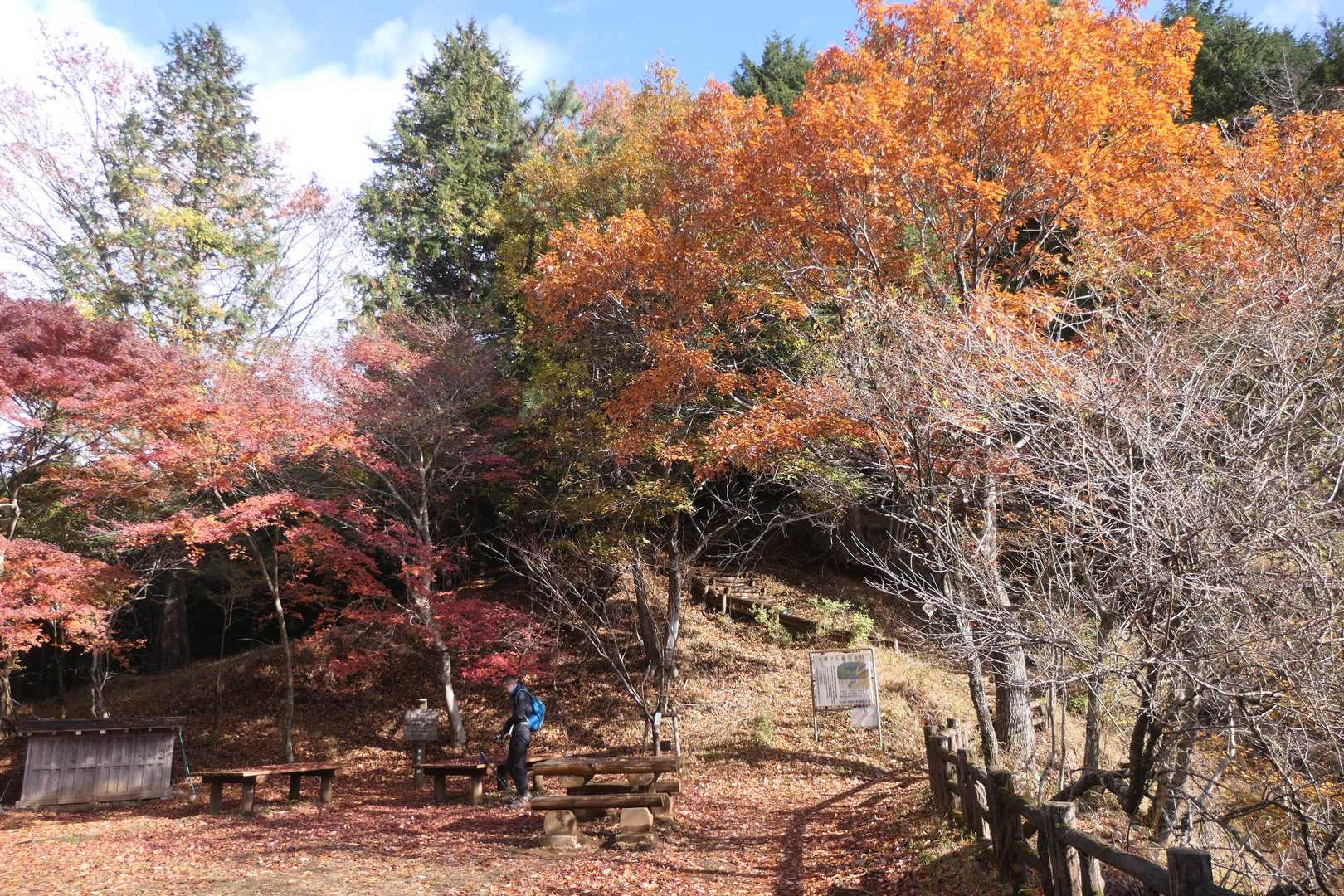 ヤビツ峠付近も紅葉してます。