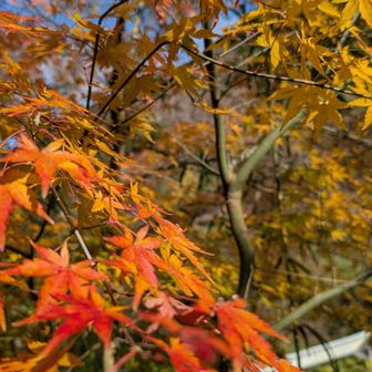 ❤️❤️❤️お疲れ様でした✨