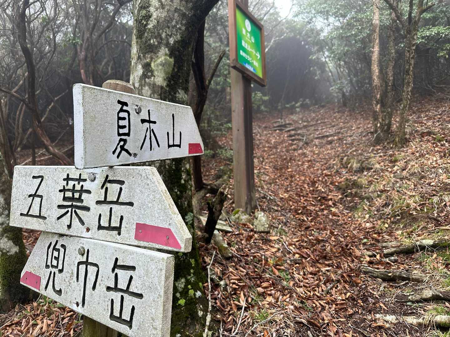 五葉岳まで行ってみる→