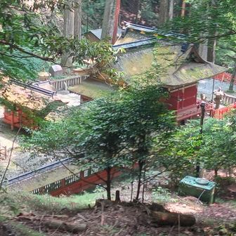 東照宮を上から眺めます