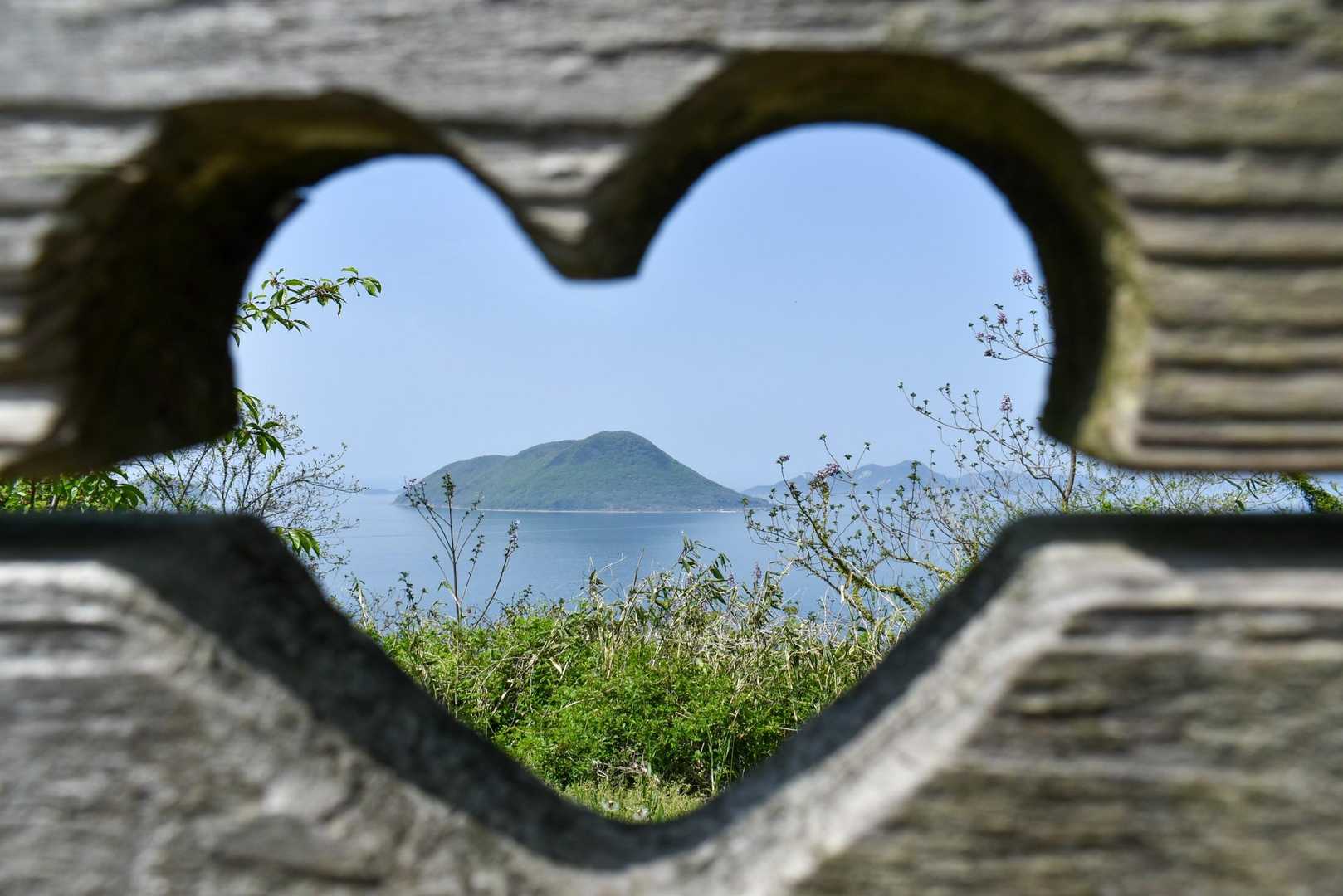 横尾の辻-天空の花畑 周回コースの写真