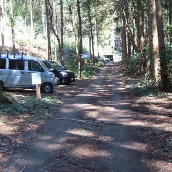 戻ってきました👣
