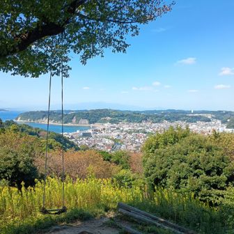 長柄桜山古墳の見晴らしスポット。