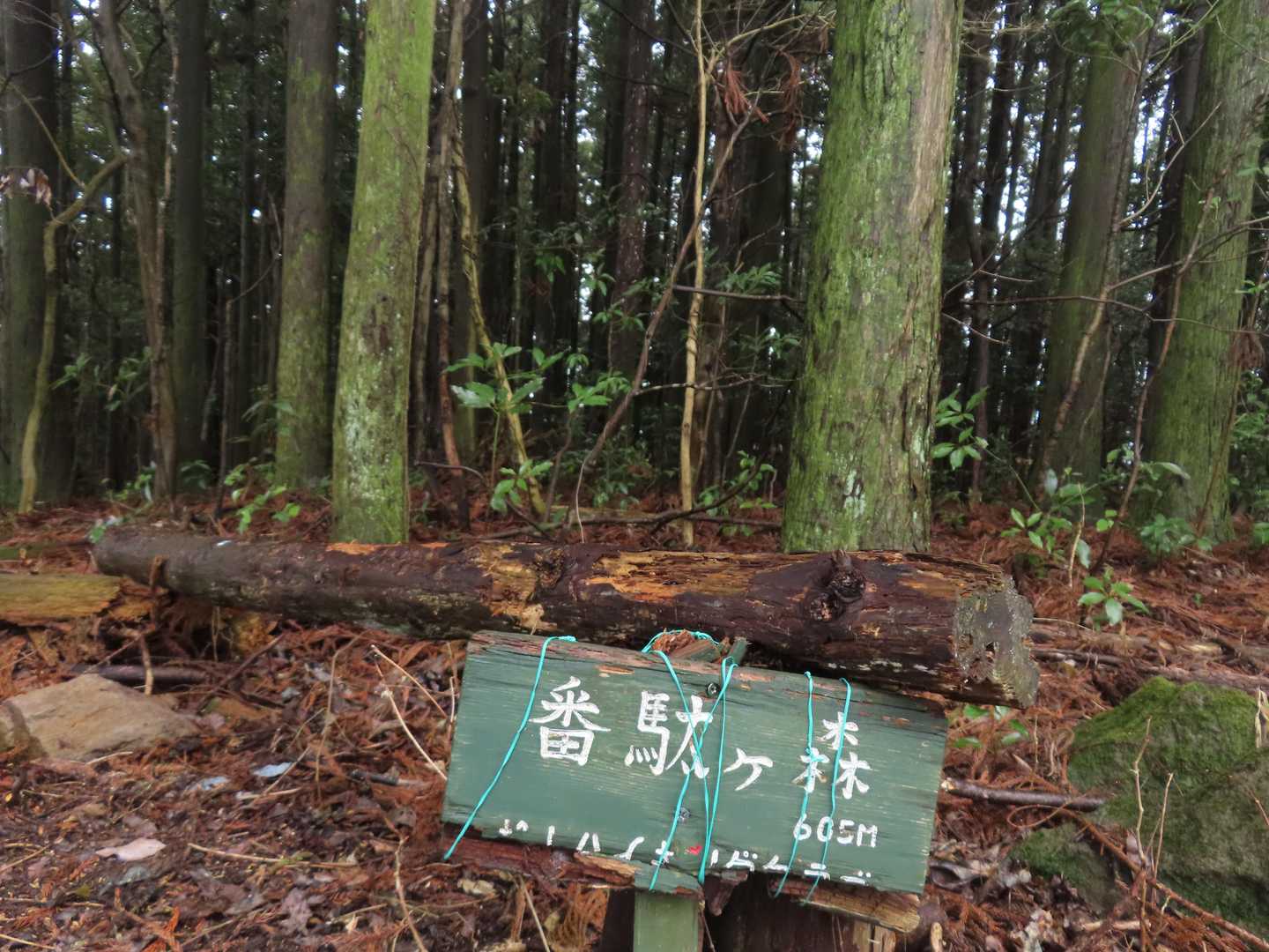 番駄ヶ森