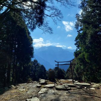 ここからモエ坂を降りたらトレイルの終点 虎杖です
弘法大師が修行で石鎚と横峰の往復するのに歩いた道だそうです✨
体が燃えるように熱くなるからモエ坂と呼ばれるとか何とか...萌え❤ではないですよ😆